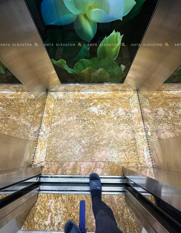 Thang Máy Tải Khách – Công Ty TNHH Kiến trúc và Xây dựng Archicentury VN