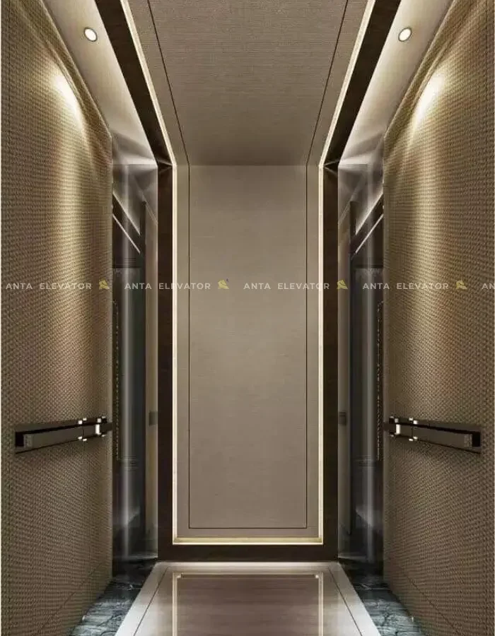 Thang Máy Tải Khách – Công Ty TNHH Won Clinic